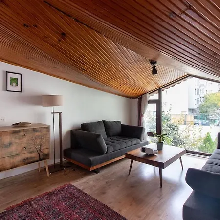 3br With Garden & Terrace In Kadikoy * Isztambul