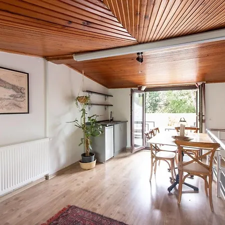 3br With Garden & Terrace In Kadikoy Villa Istanboel